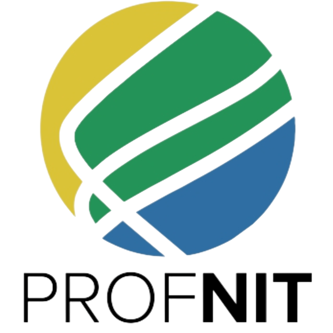PROFINIT
